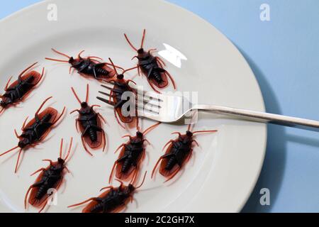 Insectes sur une assiette.insectes comme nourriture ou les insectes comestibles sont des espèces d'insectes utilisées pour la consommation humaine soit entière ou comme ingrédient dans les aliments transformés pro Banque D'Images