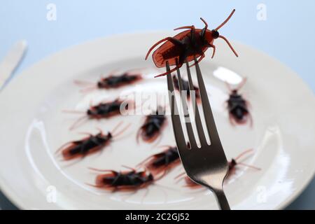 Insectes sur une assiette.insectes comme nourriture ou les insectes comestibles sont des espèces d'insectes utilisées pour la consommation humaine soit entière ou comme ingrédient dans les aliments transformés pro Banque D'Images