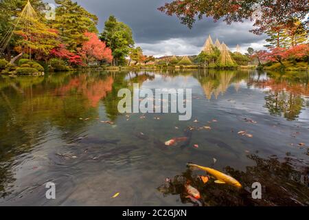 Le jardin Kenrokuen avec carpes dans un momijigari pnod durant la saison, la ville de Kanazawa, Ishikawa Prefecture, Japan Banque D'Images