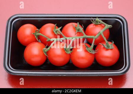 Branche de tomates cerises dans un emballage de plastique transparent, fond rouge Banque D'Images