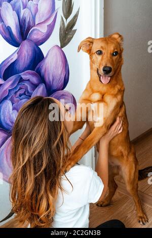 Artiste. Concepteur. Animaux de compagnie. Une jeune fille artiste peint sur un mur à l'intérieur. Travaille et joue avec un chien. TEP-thérapie. Design intérieur. Le processus créatif. Banque D'Images