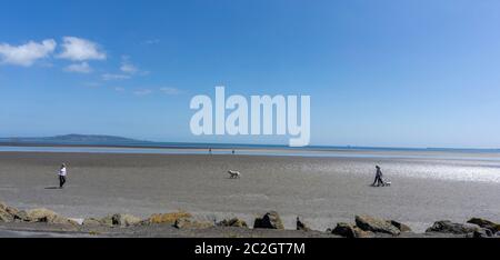 Les gens qui marchent leurs chiens sur Sandymount Strand à Dublin. La plage se trouve dans l'Ulysse de James Joyce. Banque D'Images