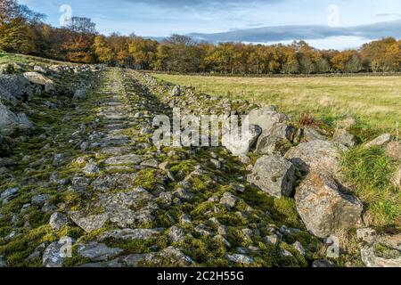 Broad Dyke, un mur de consommation à Kingswells, Aberdeen. Banque D'Images