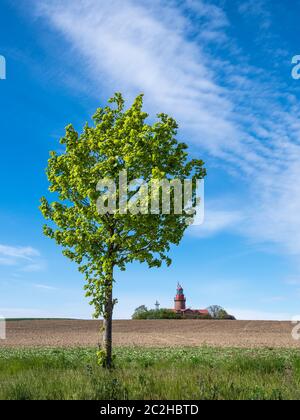 Arbre, champ et phare de Bütgenbacher Hof, Allemagne. Banque D'Images