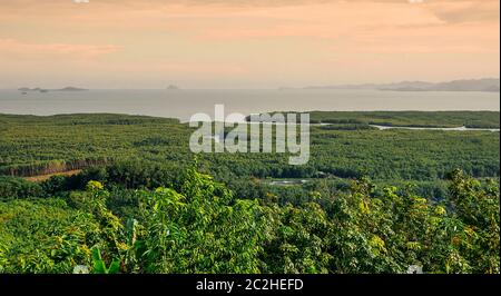 Vue sur la montagne avec arbre vert en plein soleil Banque D'Images