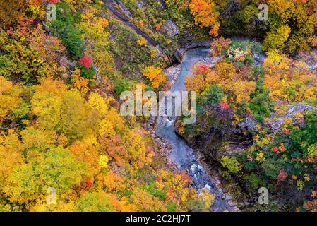 Vue aérienne du paysage de la rivière automne Banque D'Images