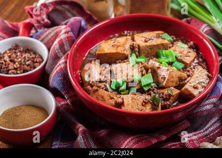 Mapo tofu - plat traditionnel épicé du sichuan. Cuisine chinoise Banque D'Images