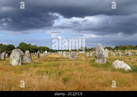 Alignements du Menec - Rangées de Menhirs - menhirs - le plus grand site mégalithique du monde, Carnac, Bretagne, France Banque D'Images