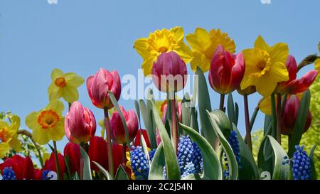 Printemps ! Banque D'Images