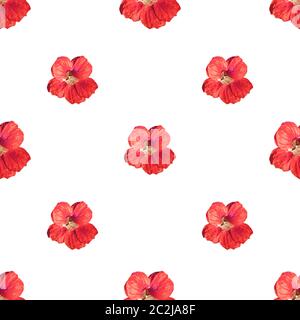 Motif fleurs beauté motif sans couture Banque D'Images