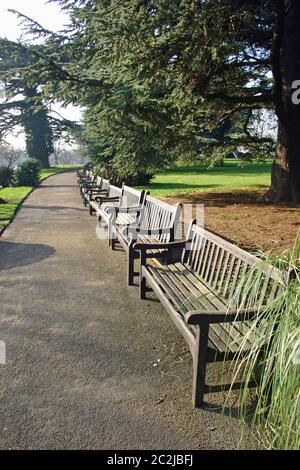 Parc ornemental avec une longue rangée de bancs en bois sur un sentier sans personne assis sur les sièges. Grands arbres avec pelouses en arrière-plan. Banque D'Images