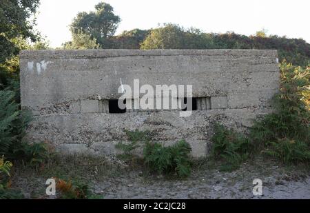 Guerre mondiale deux casemate de la côte est de l'Angleterre avec deux échappatoires face vers l'avant et entouré d'arbres, d'arbustes et de fougères avec un ciel gris clair. Banque D'Images