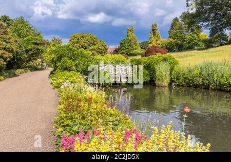 Vue dans RHS Garden Wissley du ruisseau et des étangs entre Oakwood et Alpine Meadow and Rock Garden, en été Banque D'Images