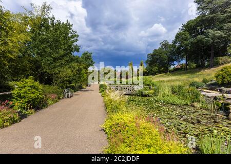 Vue dans RHS Garden Wissley du ruisseau et des étangs entre Oakwood et Alpine Meadow and Rock Garden, en été Banque D'Images