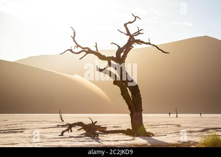 Sunrice dans le parc Sossousvlei, Deadvlei, Namibie Banque D'Images