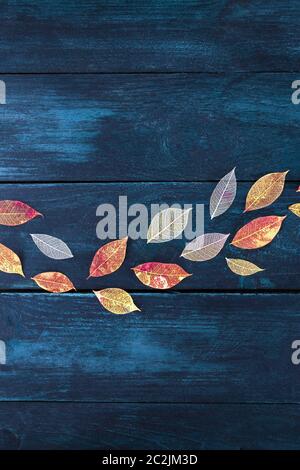 Automne fond d' jeter les feuilles d'automne dynamique sur une texture en bois bleu foncé, un modèle de conception avec une place pour le texte Banque D'Images
