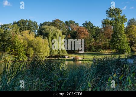 Couleur du début de l'automne dans Central Park North Banque D'Images