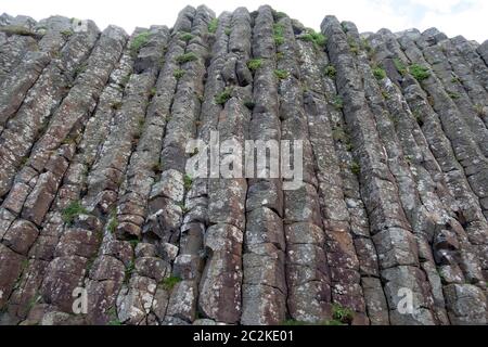 Colonnes géométriques de basalte formations rocheuses à Giant's Causeway, Irlande du Nord, Europe Banque D'Images