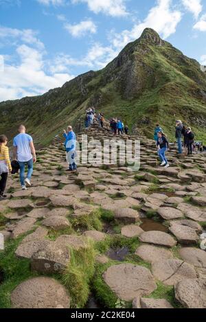 Colonnes géométriques de basalte formations rocheuses à Giant's Causeway, Irlande du Nord, Europe Banque D'Images