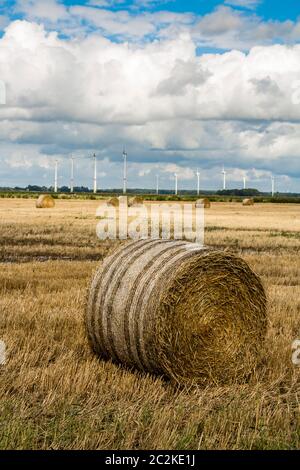 Les éoliennes, les bottes de foin et de l'agriculture dans le nord de l'Allemagne. Banque D'Images