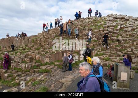 Colonnes géométriques de basalte formations rocheuses à Giant's Causeway, Irlande du Nord, Europe Banque D'Images