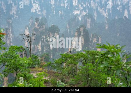 Vue à partir de la plate-forme panoramique de l'observation des piliers de pierre de monts Tianzi dans Zhangjiajie National Park qui est une célèbre attraction touristique, Wuli Banque D'Images