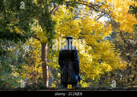 Couleur du feuillage d'automne du Madison Square Park Flatiron District dans Midtown Manhattan Banque D'Images