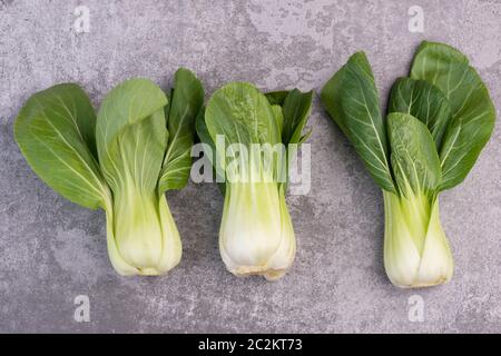 Pak choi sur un fond texturé gris vide, copy space Banque D'Images