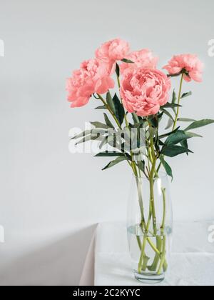 bouquet de corail vivant pivoine dans un vase sur une table blanche Banque D'Images