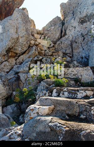 Escaliers dans la roche, Gagliano del Capo, Pouilles, Italie Banque D'Images