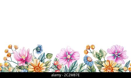 Motif horizontal transparent de fleurs sauvages. Bordure en aquarelle avec daisies, tansy, cornflowers, camomille et mapermettre. Modèle pour texte, carte de vœux Banque D'Images