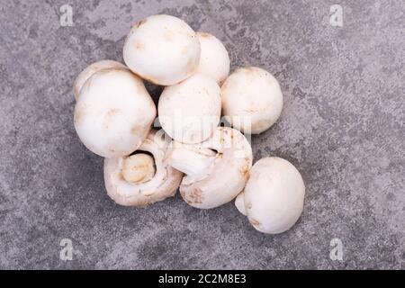 Champignons sur un bakcground texturé gris, espace de copie vide Banque D'Images
