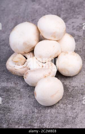 Champignons sur un bakcground texturé gris, espace de copie vide Banque D'Images