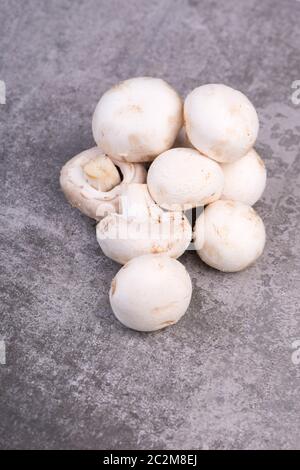 Champignons sur un bakcground texturé gris, espace de copie vide Banque D'Images