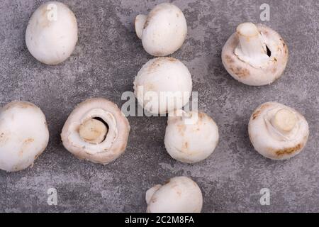 Champignons sur un bakcground texturé gris, espace de copie vide Banque D'Images