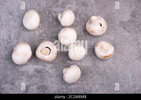 Champignons sur un bakcground texturé gris, espace de copie vide Banque D'Images