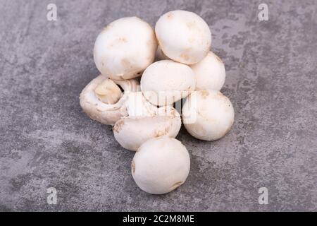 Champignons sur un bakcground texturé gris, espace de copie vide Banque D'Images