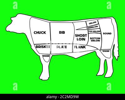 Dessin de vache montrant des coupes de bœuf de la catégorie primaire américaine et ses subdivisions. Coupe de viande. Diagramme et schéma du boucher Cow. Dessiné à la main sur un écran vert c Banque D'Images