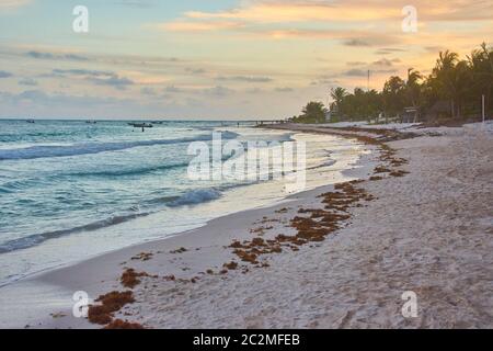 Vue magnifique sur la plage de Xpu-Ha au Mexique au coucher du soleil Banque D'Images