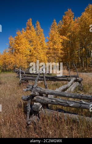 Encens et barrière de chemin de fer en deux en automne, route du comté 7, chaîne de Sneffels, montagnes San Juan, Colorado Banque D'Images