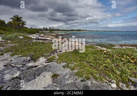 Détail de la côte mexicaine de la Riviera Maya sur la plage de Xpu-Ha : une belle plage naturelle surplombant la mer des Caraïbes. Banque D'Images