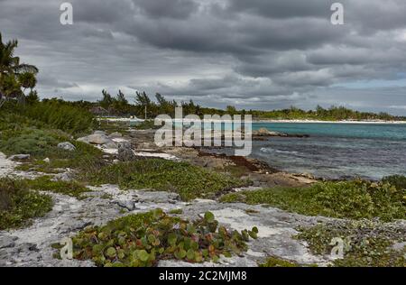 Détail de la côte mexicaine de la Riviera Maya sur la plage de Xpu-Ha : une belle plage naturelle surplombant la mer des Caraïbes. Banque D'Images