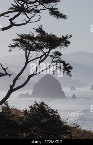 Vagues et piles de mer, parc national Ecola, Cannon Beach, Oregon Banque D'Images