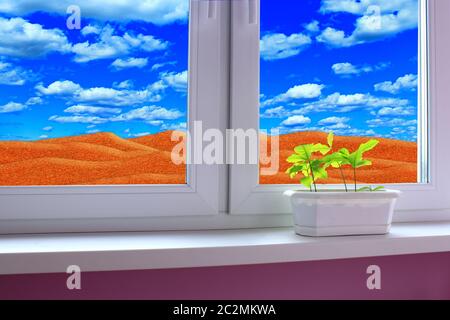 Jeunes plantes poussant dans le pot sur le seuil de fenêtre. Désert de sable derrière la fenêtre de la chambre. Sauver la planète Banque D'Images