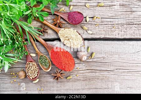 Piment, gingembre, coriandre, thym et le sumac à cuillères, muscade, cardamome, l'anis étoilé et le fenugrec, romarin, persil, thym, menthe et salé Banque D'Images