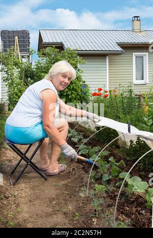 Une femme âgée est engagée dans le désherbage dans le jardin Banque D'Images