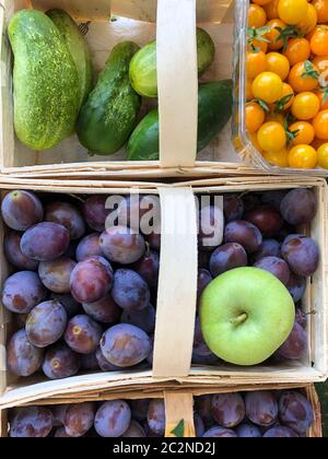 Tomates fraîchement récoltées, concombres, prunes et pomme verte dans des paniers Banque D'Images