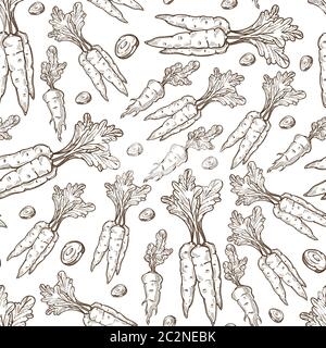 Carottes avec feuilles, ingrédients biologiques légumes régime sans couture modèle Illustration de Vecteur