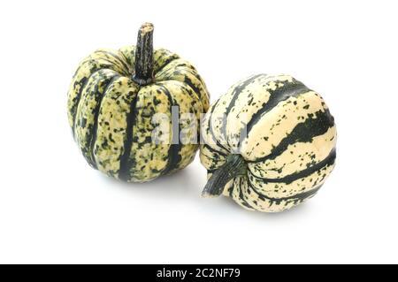 Courge poivrée Isolated On White Banque D'Images