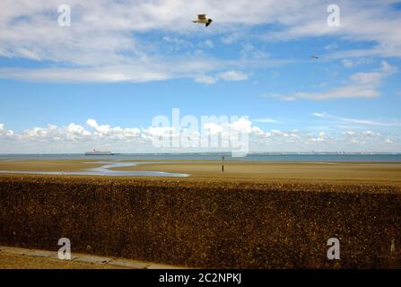 Le sable de Ryde s'C4 à marée basse de l'île de Solent de Wight bateau de croisière à l'horizon sous la vapeur en direction des mouettes dedans promenade en bord de mer Banque D'Images